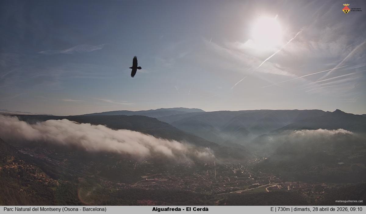 Aiguafreda - El Cerdà