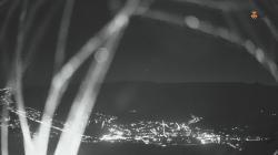 Webcams