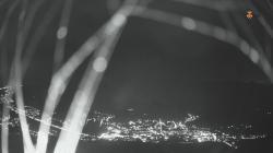Webcams