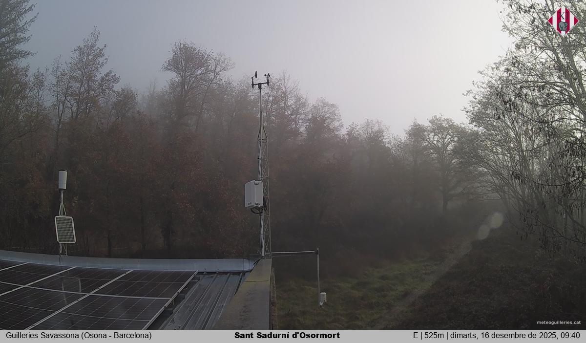 Sant Sadurní d'Osormort 