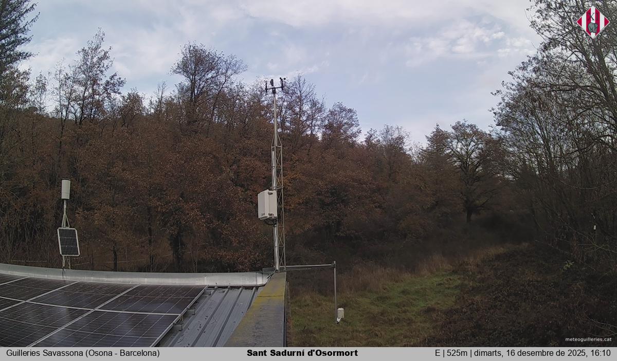 Sant Sadurní d'Osormort 