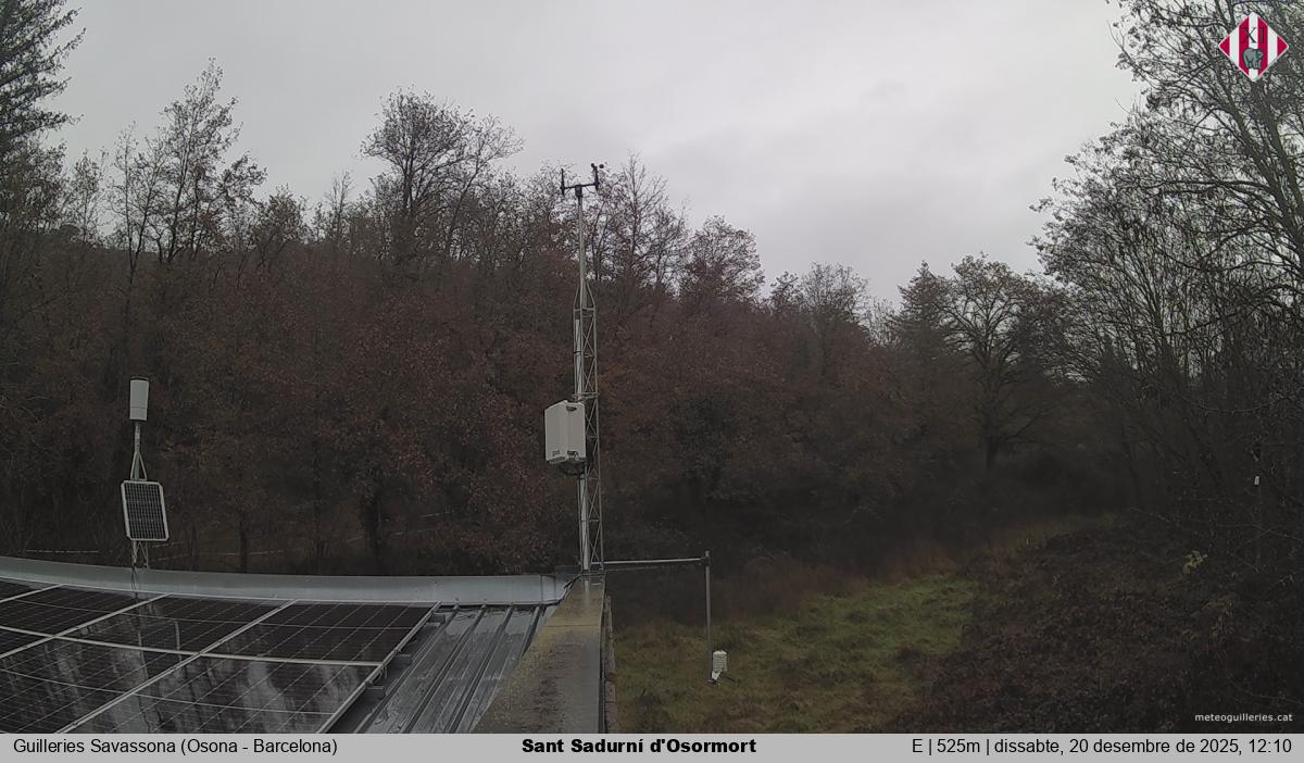 Sant Sadurní d'Osormort 