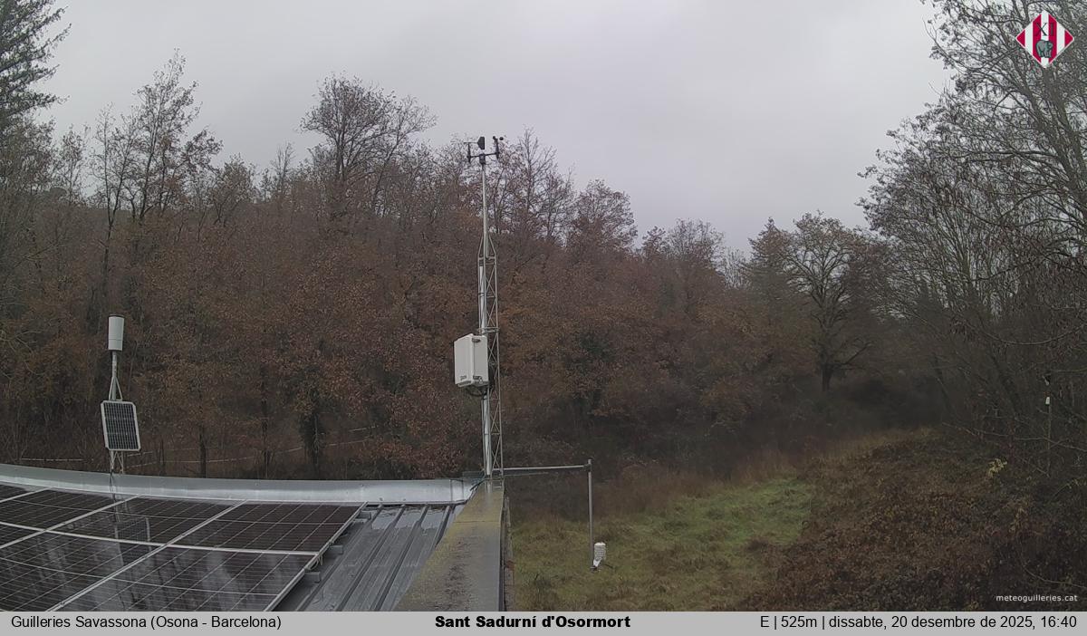 Sant Sadurní d'Osormort 