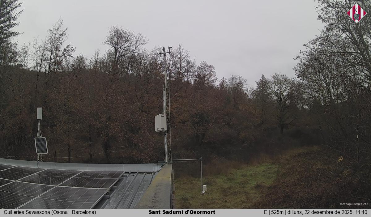 Sant Sadurní d'Osormort 