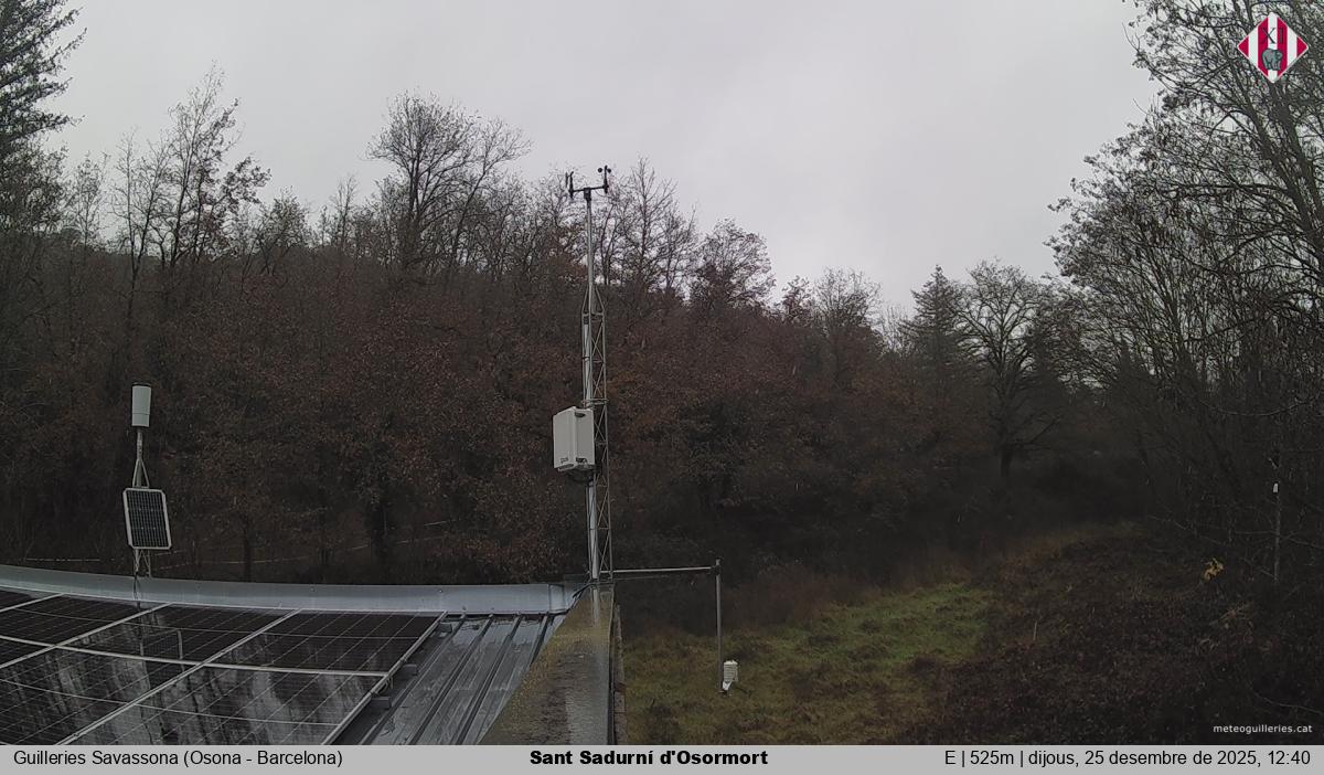 Sant Sadurní d'Osormort 