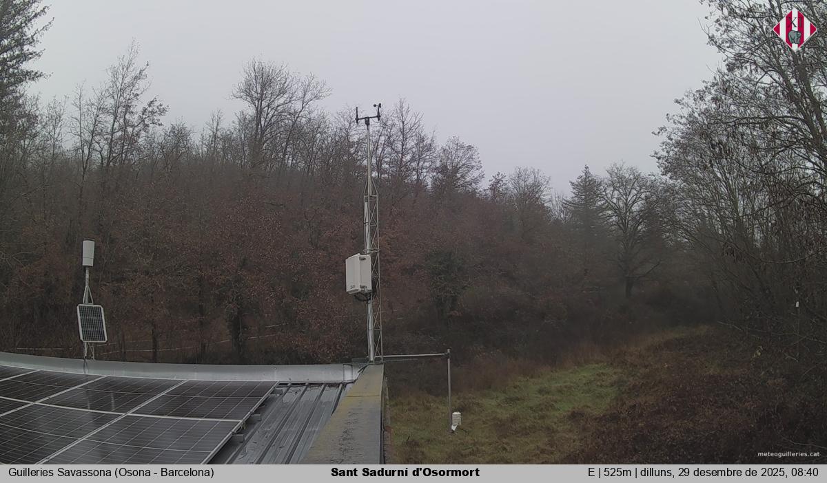 Sant Sadurní d'Osormort 