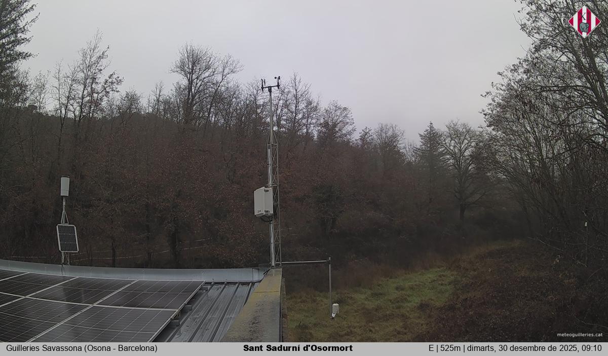 Sant Sadurní d'Osormort 