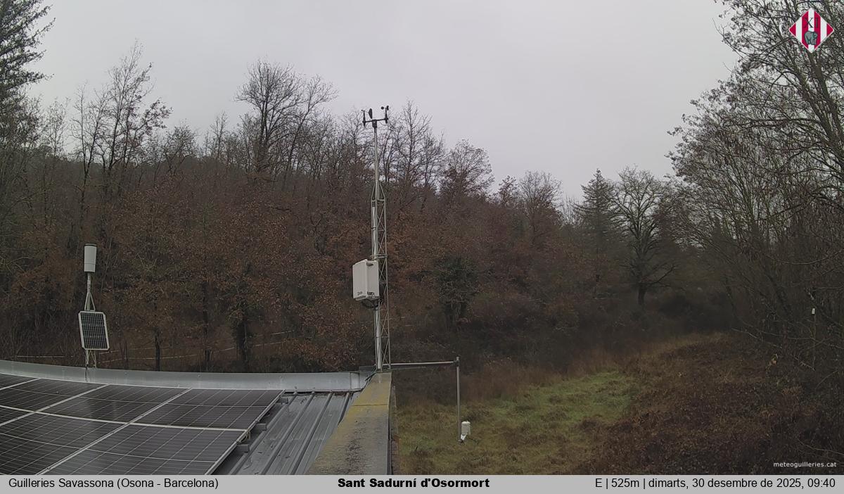 Sant Sadurní d'Osormort 