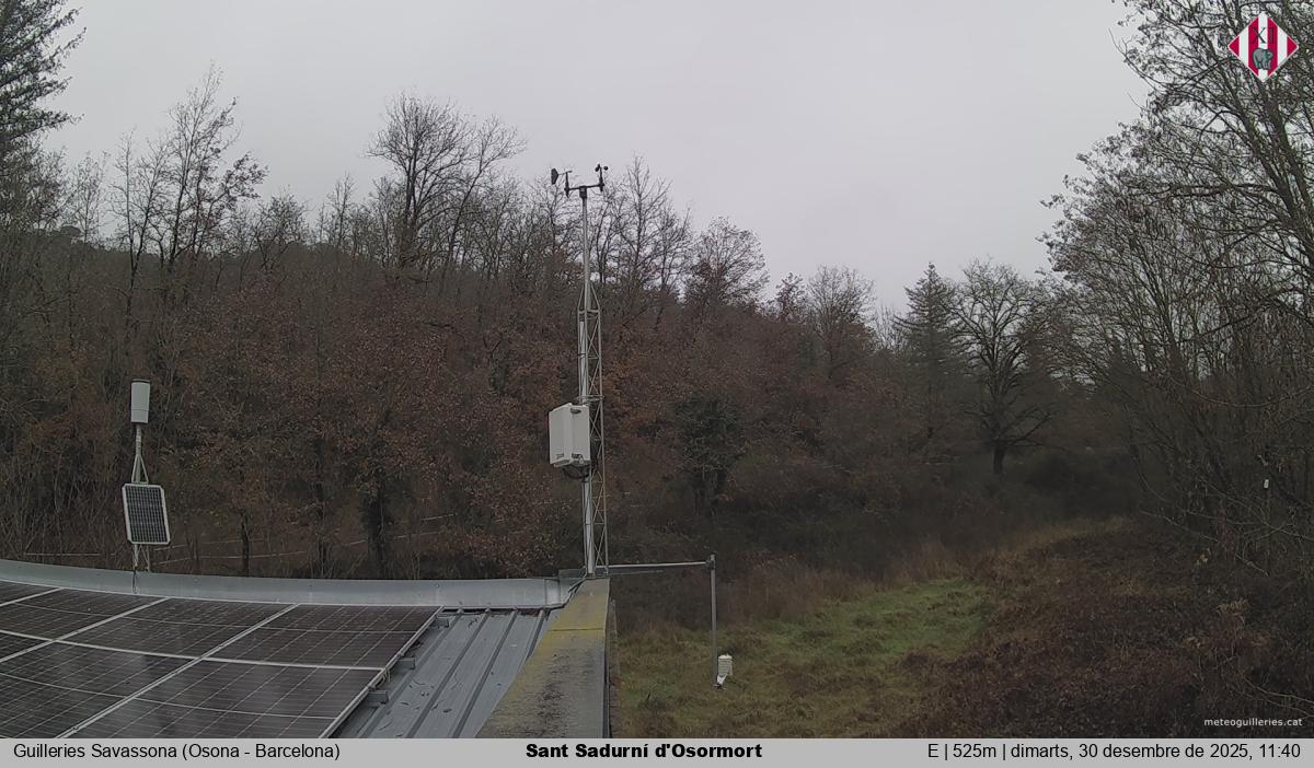 Sant Sadurní d'Osormort 