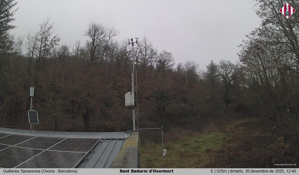 Sant Sadurní d'Osormort 