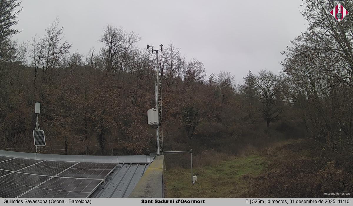 Sant Sadurní d'Osormort 