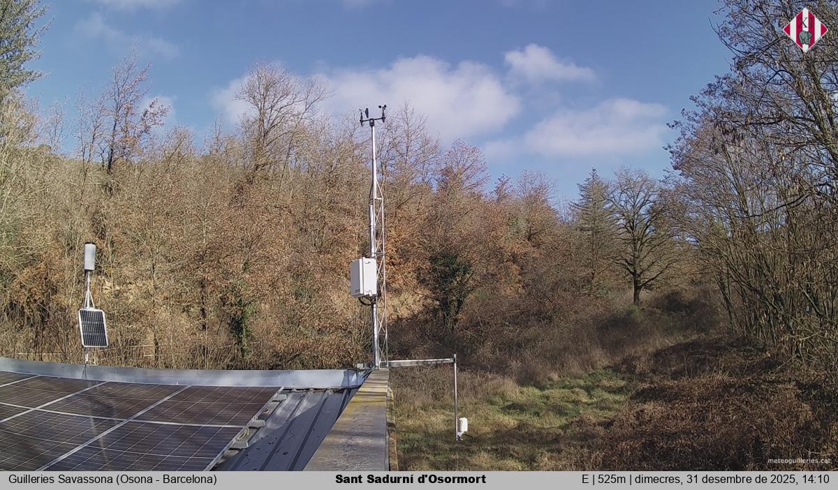 Sant Sadurní d'Osormort 