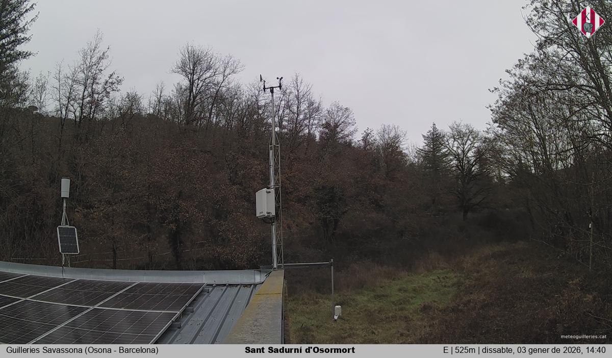 Sant Sadurní d'Osormort 