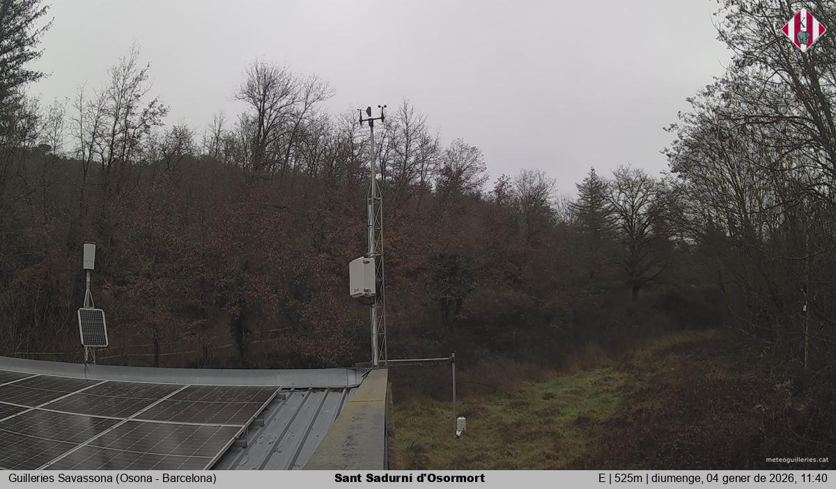 Sant Sadurní d'Osormort 