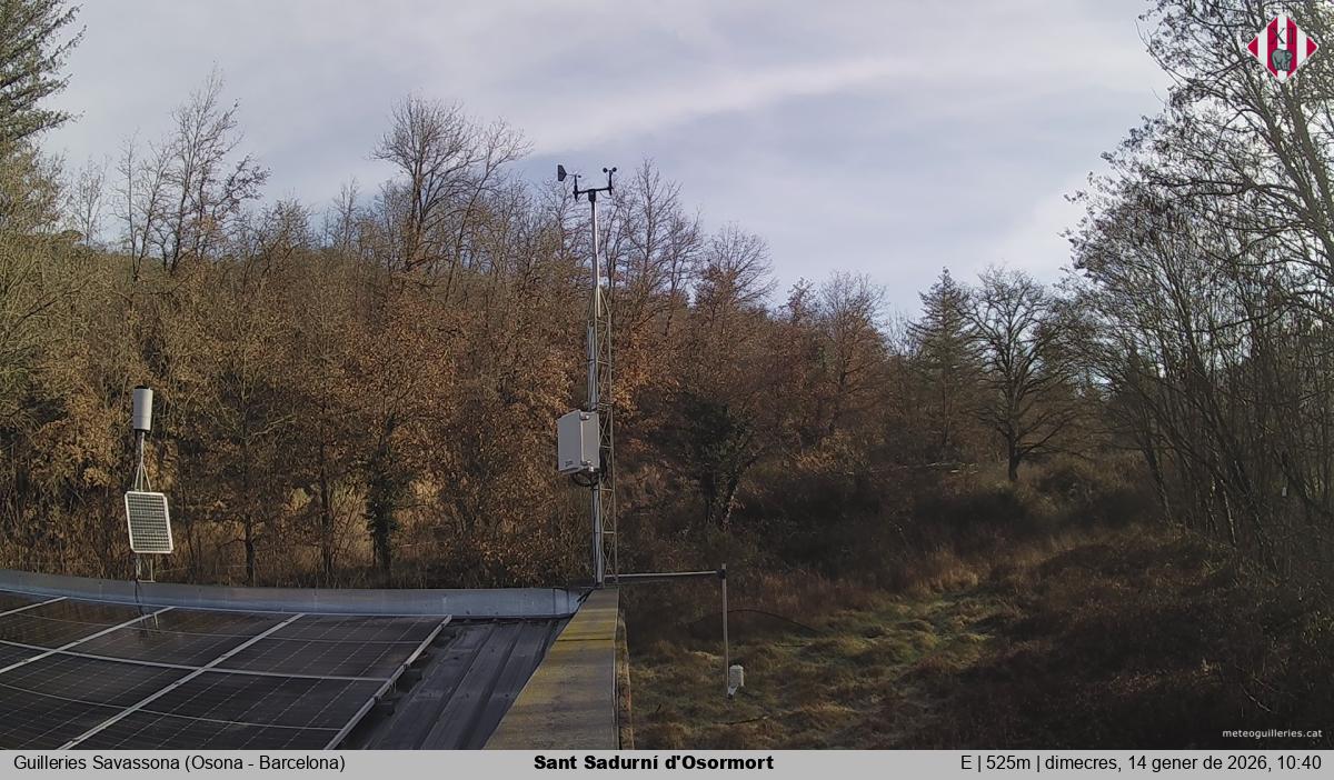 Sant Sadurní d'Osormort 