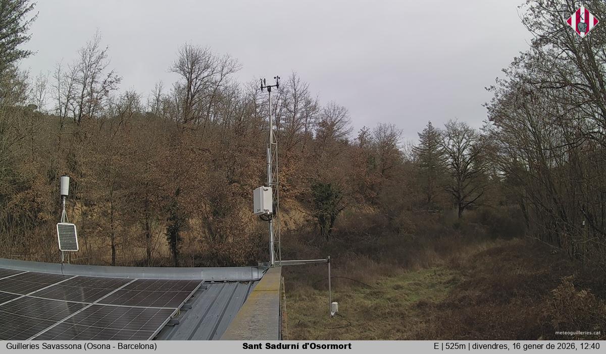 Sant Sadurní d'Osormort 