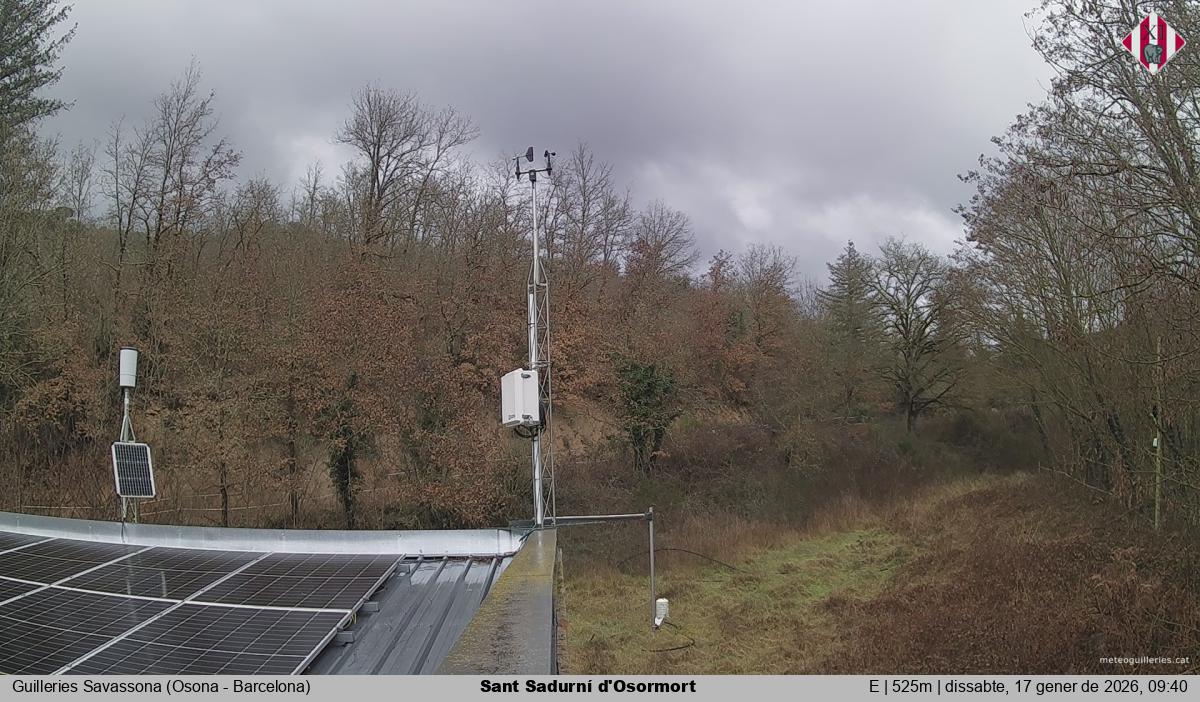 Sant Sadurní d'Osormort 