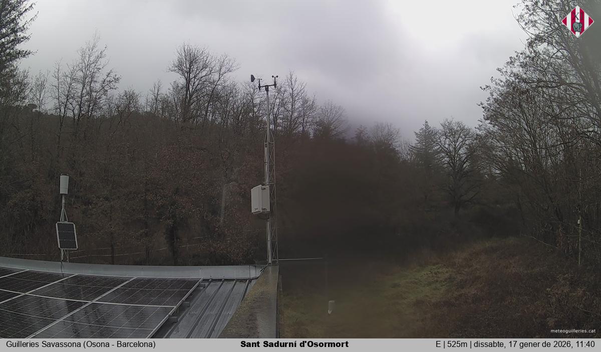 Sant Sadurní d'Osormort 