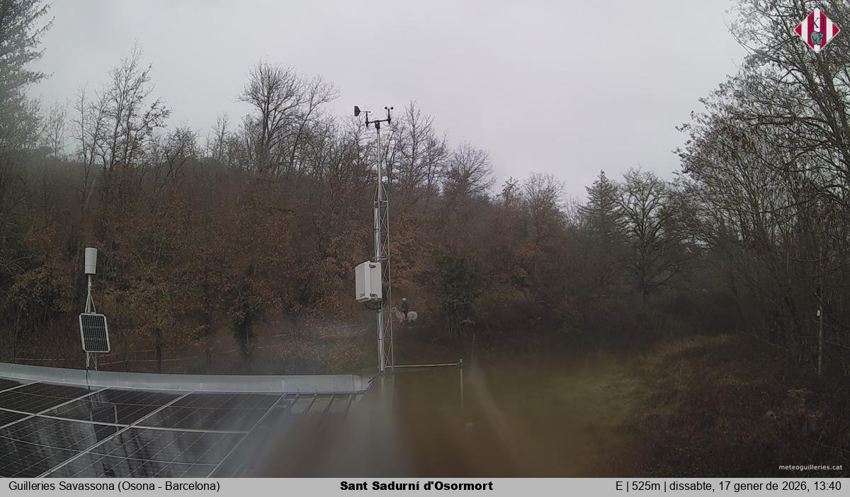 Sant Sadurní d'Osormort 