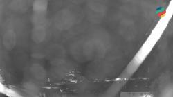 Webcams