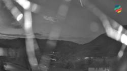 Webcams