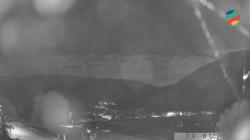 Webcams