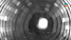 Webcams