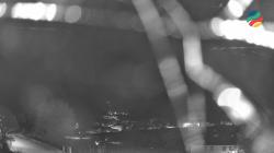 Webcams
