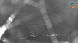 Webcams