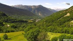 Webcams