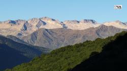 Webcams