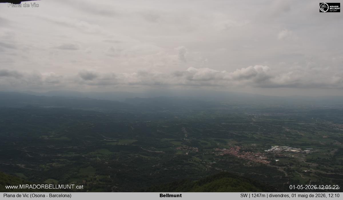 Bellmunt