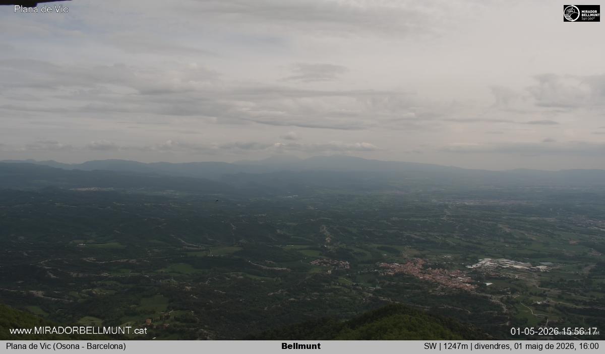Bellmunt