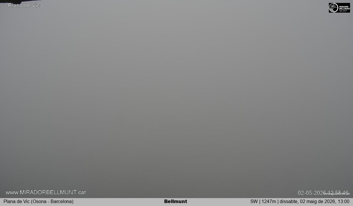 Bellmunt