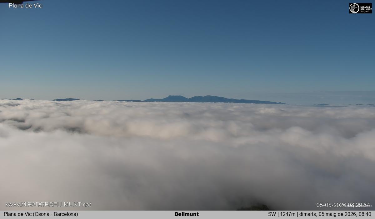 Bellmunt