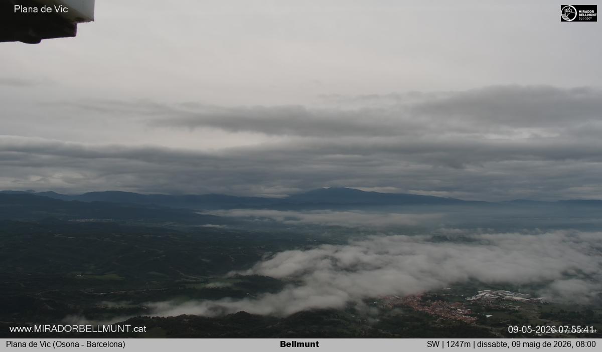 Bellmunt