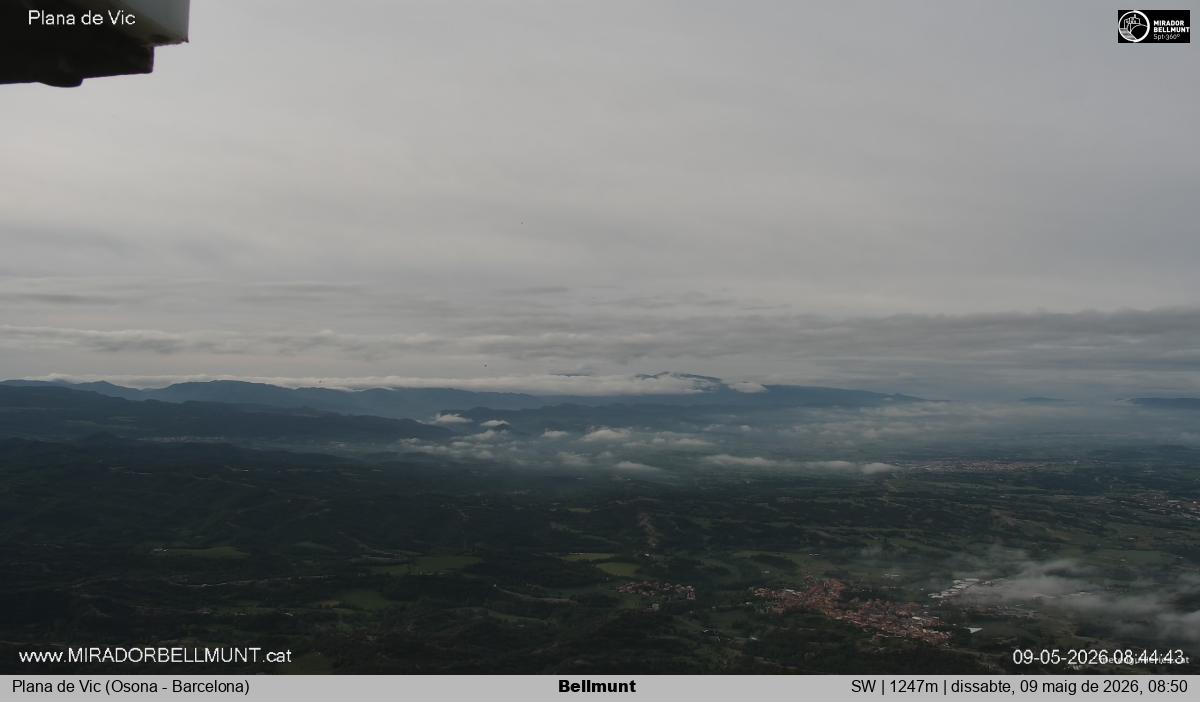 Bellmunt