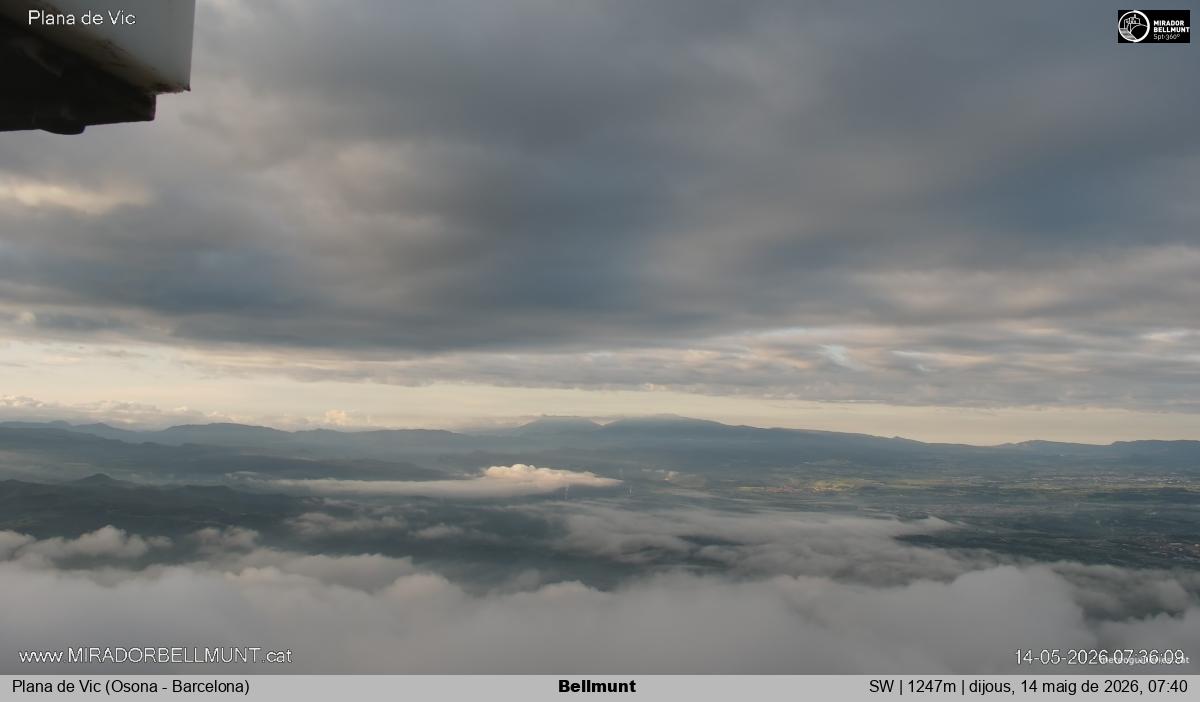 Bellmunt