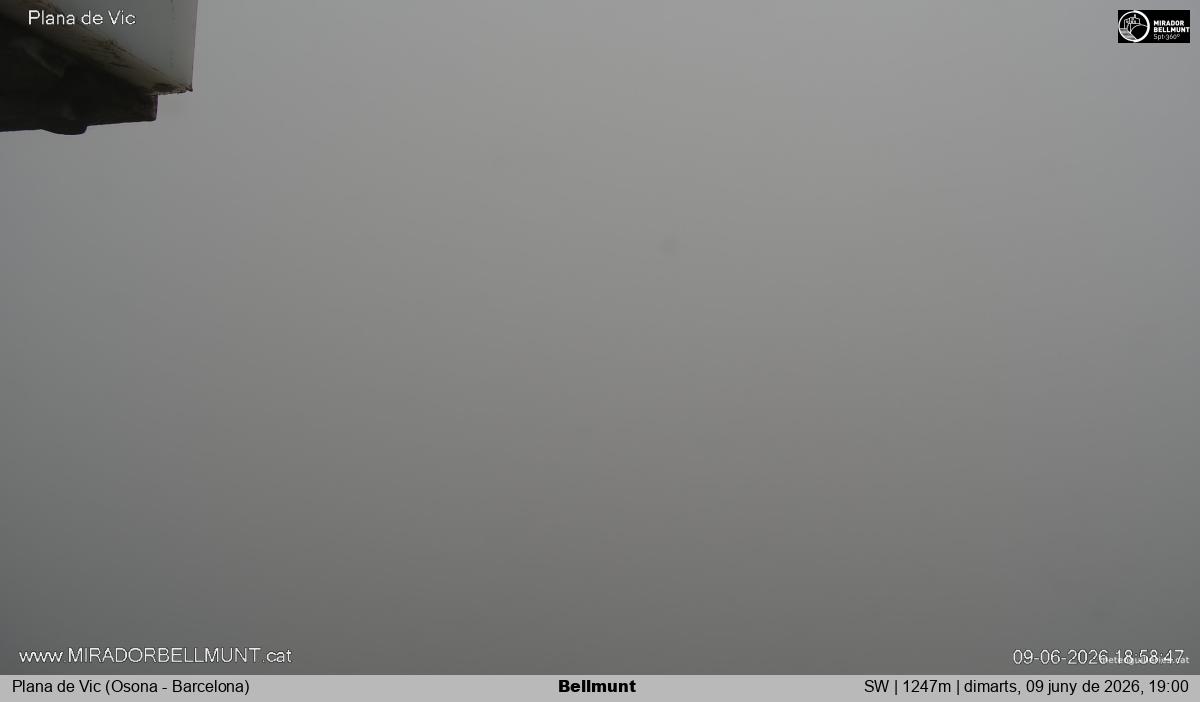 Bellmunt