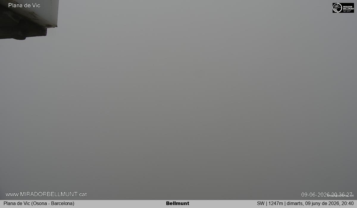 Bellmunt