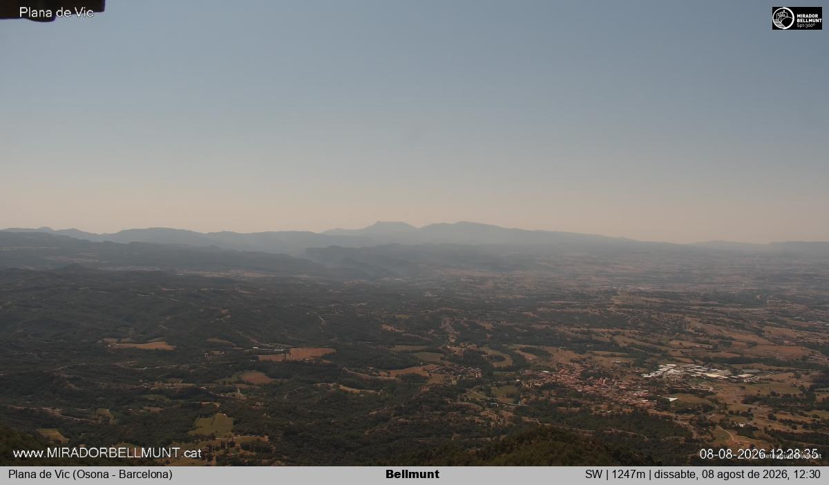 Bellmunt