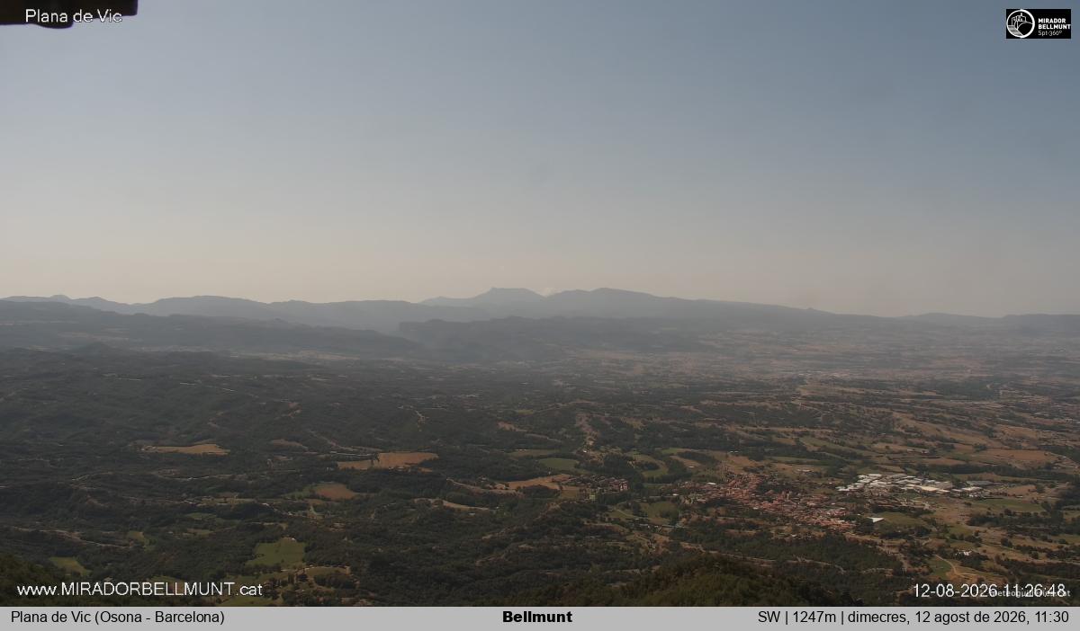 Bellmunt