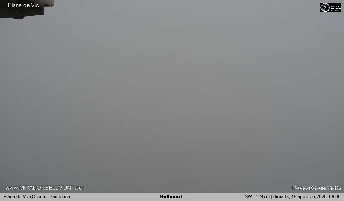 Bellmunt