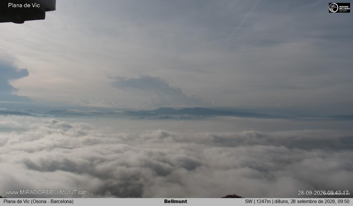Bellmunt