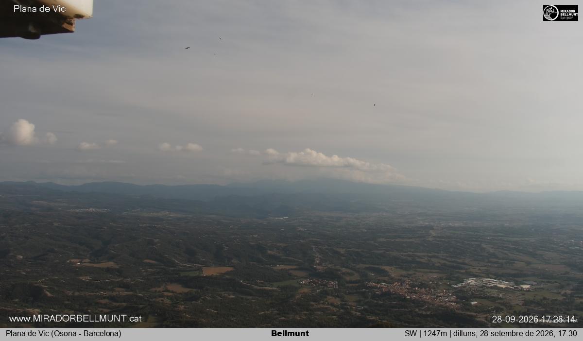 Bellmunt