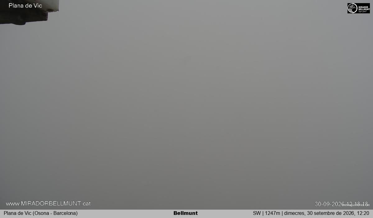 Bellmunt