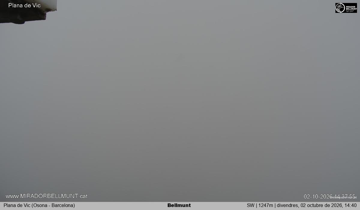 Bellmunt