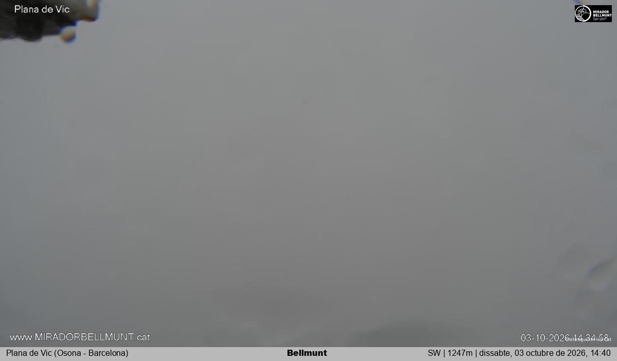 Bellmunt