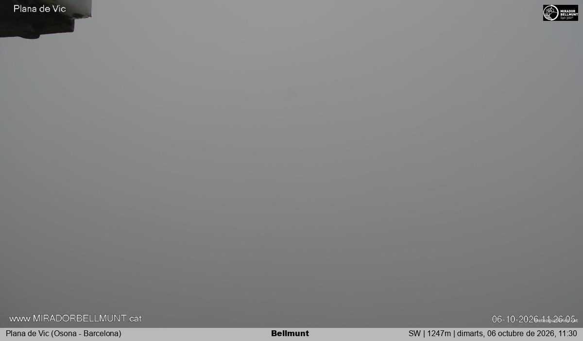 Bellmunt