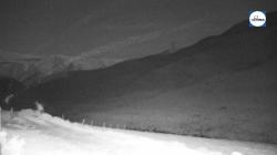Webcams